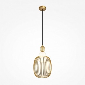 Подвесной светильник Maytoni Levitation MOD376PL-01G1 в Ижевске - izhevsk.ok-mebel.com | фото 2