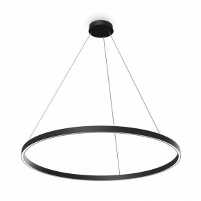 Подвесной светильник Maytoni Rim MOD058PL-L54BK в Ижевске - izhevsk.ok-mebel.com | фото 3