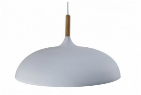 Подвесной светильник Moderli Hygo V11447-1P в Ижевске - izhevsk.ok-mebel.com | фото