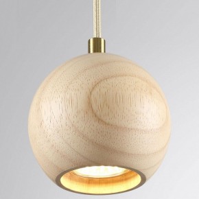 Подвесной светильник Odeon Light Caucho 7061/1 в Ижевске - izhevsk.ok-mebel.com | фото 2