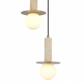 Подвесной светильник ST-Luce Earthy SL1194.303.03 в Ижевске - izhevsk.ok-mebel.com | фото 4