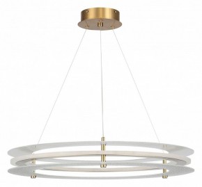 Подвесной светильник ST-Luce FAGY SL6245.203.01 в Ижевске - izhevsk.ok-mebel.com | фото 3