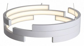 Подвесной светильник ST-Luce Genuine SL963.503.01 в Ижевске - izhevsk.ok-mebel.com | фото