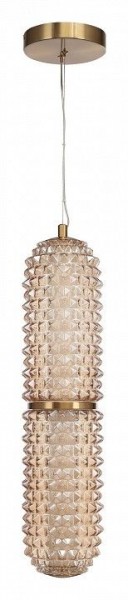 Подвесной светильник ST-Luce SAGUARO SL6144.303.01 в Ижевске - izhevsk.ok-mebel.com | фото 3