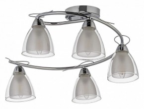 Потолочная люстра Arti Lampadari Paola, Tavenna Nickel Paola E 1.1.5 N в Ижевске - izhevsk.ok-mebel.com | фото