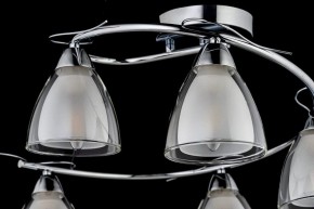 Потолочная люстра Arti Lampadari Paola, Tavenna Nickel Paola E 1.1.5 N в Ижевске - izhevsk.ok-mebel.com | фото 4
