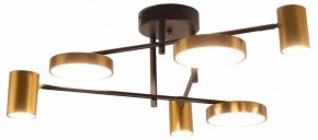 Потолочная люстра Kink Light Рапис 07645-6D,19(20) в Ижевске - izhevsk.ok-mebel.com | фото