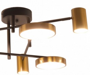 Потолочная люстра Kink Light Рапис 07645-6D,19(20) в Ижевске - izhevsk.ok-mebel.com | фото 2