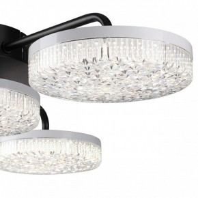 Потолочная люстра Lumion Didana 8236/4CL в Ижевске - izhevsk.ok-mebel.com | фото 7