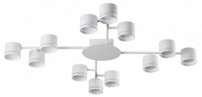 Потолочная люстра Lumion Gareta 8235/12C в Ижевске - izhevsk.ok-mebel.com | фото