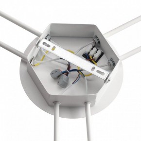 Потолочная люстра Lumion Gareta 8235/6C в Ижевске - izhevsk.ok-mebel.com | фото 6