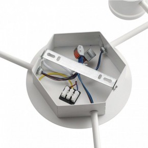 Потолочная люстра Lumion Gareta 8235/9C в Ижевске - izhevsk.ok-mebel.com | фото 6