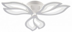 Потолочная люстра Natali Kovaltseva FORTUNA LED LAMPS 81107/2C в Ижевске - izhevsk.ok-mebel.com | фото