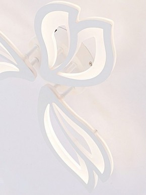Потолочная люстра Natali Kovaltseva FORTUNA LED LAMPS 81107/2C в Ижевске - izhevsk.ok-mebel.com | фото 11