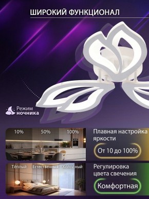 Потолочная люстра Natali Kovaltseva FORTUNA LED LAMPS 81107/2C в Ижевске - izhevsk.ok-mebel.com | фото 5