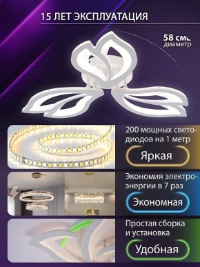 Потолочная люстра Natali Kovaltseva FORTUNA LED LAMPS 81107/2C в Ижевске - izhevsk.ok-mebel.com | фото 6