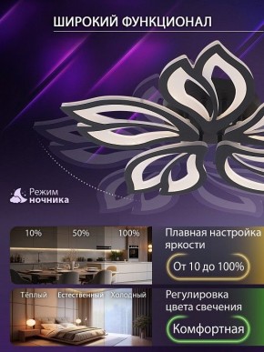 Потолочная люстра Natali Kovaltseva FORTUNA LED LAMPS 81107/5C в Ижевске - izhevsk.ok-mebel.com | фото 6