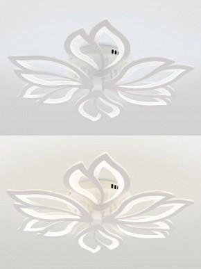 Потолочная люстра Natali Kovaltseva FORTUNA LED LAMPS 81107/6C в Ижевске - izhevsk.ok-mebel.com | фото 4