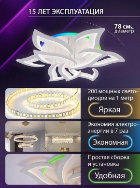Потолочная люстра Natali Kovaltseva OLIMP LED LAMPS 81435 в Ижевске - izhevsk.ok-mebel.com | фото 5