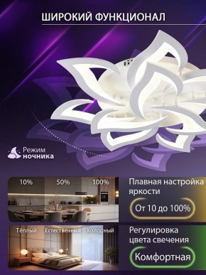 Потолочная люстра Natali Kovaltseva OLIMP LED SMART 84005 в Ижевске - izhevsk.ok-mebel.com | фото 6