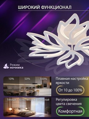 Потолочная люстра Natali Kovaltseva RIF LED LAMPS 81118/5C в Ижевске - izhevsk.ok-mebel.com | фото 6