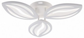 Потолочная люстра Natali Kovaltseva SM LED LAMPS 81456 в Ижевске - izhevsk.ok-mebel.com | фото