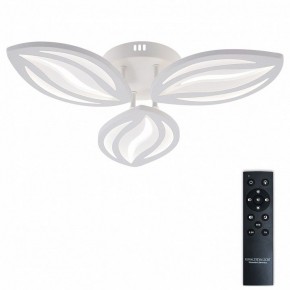 Потолочная люстра Natali Kovaltseva SM LED LAMPS 81456 в Ижевске - izhevsk.ok-mebel.com | фото 2