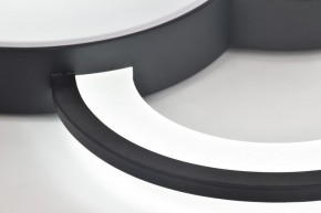 Потолочная люстра Rivoli Aliona Б0066452 в Ижевске - izhevsk.ok-mebel.com | фото 10