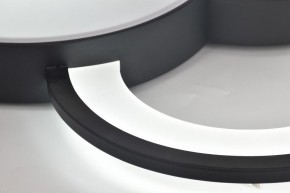 Потолочная люстра Rivoli Aliona Б0066452 в Ижевске - izhevsk.ok-mebel.com | фото 12