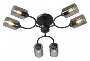 Потолочная люстра Vitaluce V2823 V2823-1/6PL в Ижевске - izhevsk.ok-mebel.com | фото 2