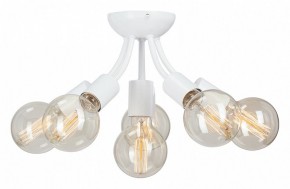 Потолочная люстра Vitaluce V3927 V3927-0/6PL в Ижевске - izhevsk.ok-mebel.com | фото