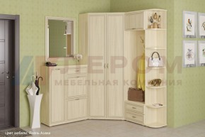 Прихожая Карина композиция 8 (Ясень Асахи) в Ижевске - izhevsk.ok-mebel.com | фото