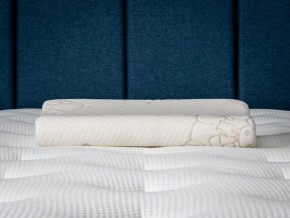 PROxSON Подушка Кроха (Ткань Трикотаж) 39x24 в Ижевске - izhevsk.ok-mebel.com | фото 6