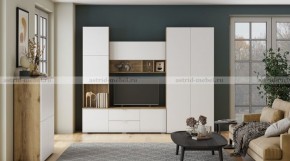 МИЛАН-1 Секция ТВ (ЦРК.МЛН.01 секция ТВ) в Ижевске - izhevsk.ok-mebel.com | фото 3