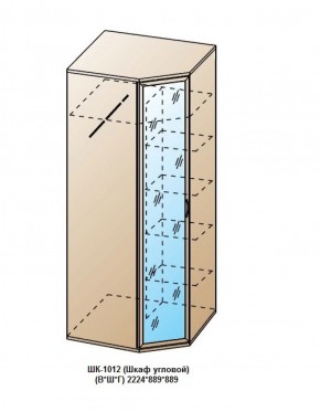 ШК-1012 (Шкаф угловой) в Ижевске - izhevsk.ok-mebel.com | фото