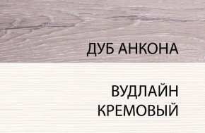 Шкаф 1DW, OLIVIA, цвет вудлайн крем/дуб анкона в Ижевске - izhevsk.ok-mebel.com | фото 3