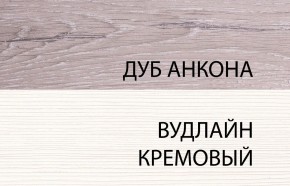 Шкаф 2DG, OLIVIA, цвет вудлайн крем/дуб анкона в Ижевске - izhevsk.ok-mebel.com | фото 3