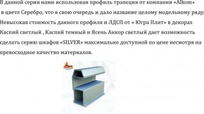 Шкаф-купе 1300 серии SILVER S5+S5+B2+PL3 (2 ящика+2 штанги) профиль «Серебро» в Ижевске - izhevsk.ok-mebel.com | фото 4