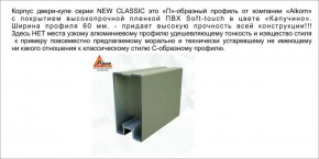 Шкаф-купе 1500 серии NEW CLASSIC K4+K4+B2+PL4 (2 ящика+F обр. штанга) профиль «Капучино» в Ижевске - izhevsk.ok-mebel.com | фото 18