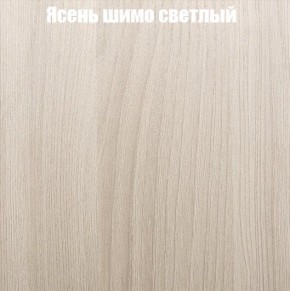 Шкаф-купе «ТАНДЕМ» 2-х дверный в алюминиевом профиле (Дверь К+К) 1400/h2200 в Ижевске - izhevsk.ok-mebel.com | фото 6