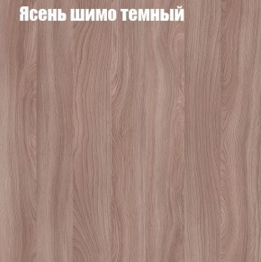 Шкаф-купе «ТАНДЕМ» 2-х дверный в алюминиевом профиле (Дверь К+К) 1400/h2200 в Ижевске - izhevsk.ok-mebel.com | фото 7