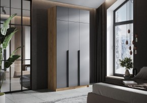 Шкаф платяной Широн в Ижевске - izhevsk.ok-mebel.com | фото 4