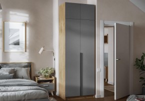 Шкаф платяной Широн в Ижевске - izhevsk.ok-mebel.com | фото 4
