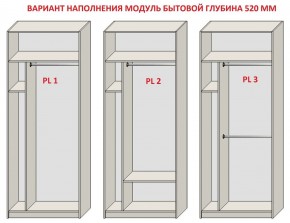 Шкаф распашной серия «ЗЕВС» (PL3/С1/PL2) Серый камень/Небраска натуральный в Ижевске - izhevsk.ok-mebel.com | фото 5