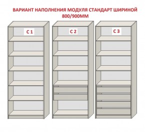 Шкаф распашной серия «ЗЕВС» (PL3/С1/PL2) Серый камень/Небраска натуральный в Ижевске - izhevsk.ok-mebel.com | фото 6