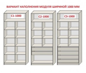 Шкаф распашной серия «ЗЕВС» (PL3/С1/PL2) Серый камень/Небраска натуральный в Ижевске - izhevsk.ok-mebel.com | фото 7