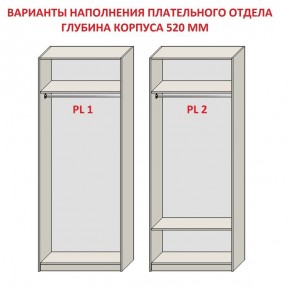 Шкаф распашной серия «ЗЕВС» (PL3/С1/PL2) Серый камень/Небраска натуральный в Ижевске - izhevsk.ok-mebel.com | фото 9
