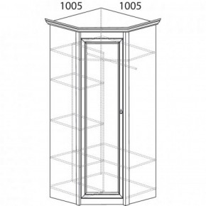 Шкаф угловой №662 "Флоренция" Фасад глухой (угол 1005*1005) Дуб оксфорд в Ижевске - izhevsk.ok-mebel.com | фото 3
