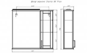 Шкаф-зеркало Charlie 80 правый Домино (DCh2520HZ) в Ижевске - izhevsk.ok-mebel.com | фото 9