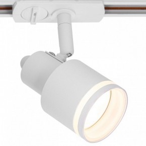Светильник на штанге Citilux Bruno CL565T10 в Ижевске - izhevsk.ok-mebel.com | фото 2